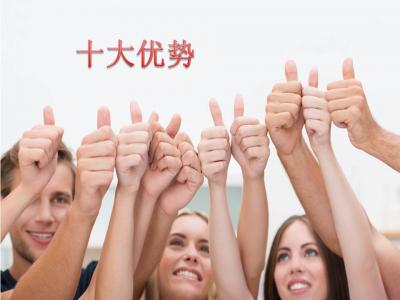 十大优势
